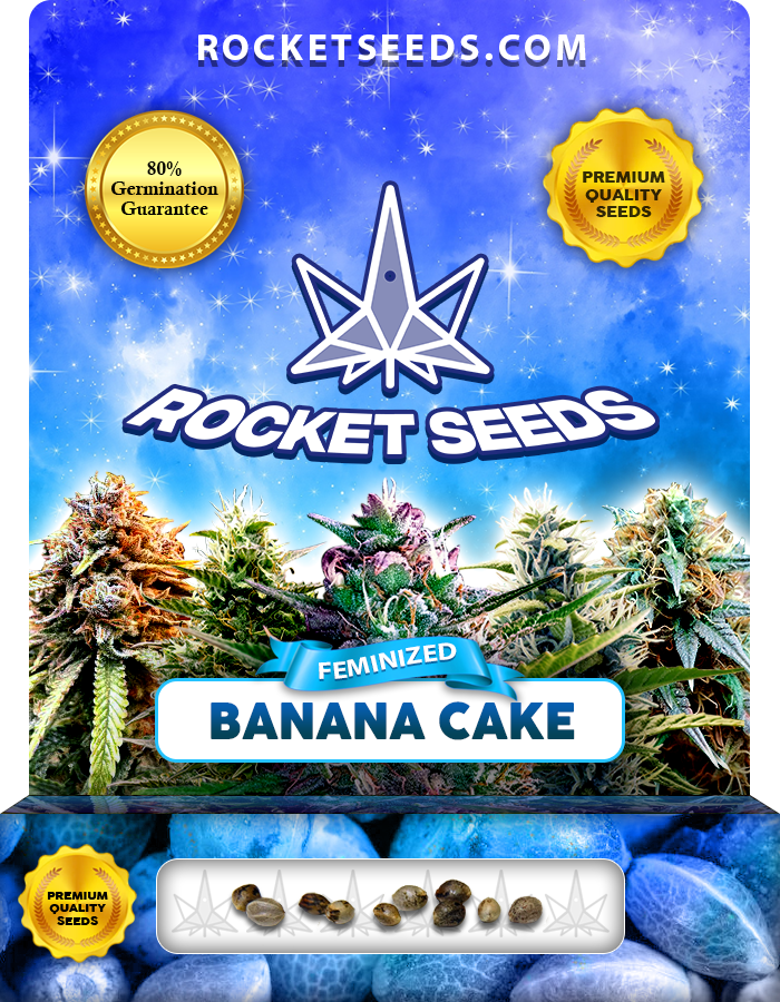 Banana Cake Strain Strain Feminized Marijuana Seeds