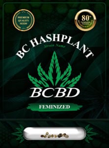 BC Hashplant Strain Feminized Marijuana Seeds