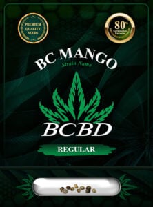 BC Mango Strain Regular Marijuana Seeds
