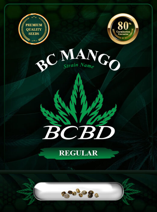 BC Mango Strain Regular