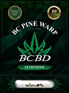 BC Pine Warp Strain Feminized Marijuana Seeds