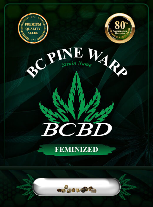 BC Pine Warp Strain Feminized