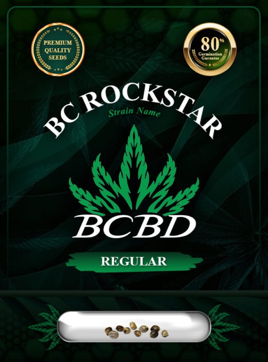 BC Rockstar Strain Regular