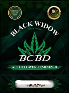 Black Widow Strain Autoflowering Feminized Marijuana Seeds