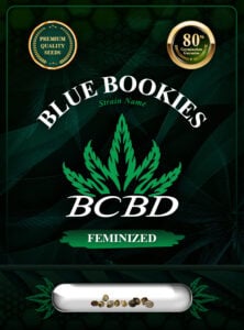 Blue Cookies Strain Feminized Marijuana Seeds