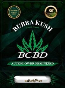 Bubba Kush Autoflowering Feminized Marijuana Seeds