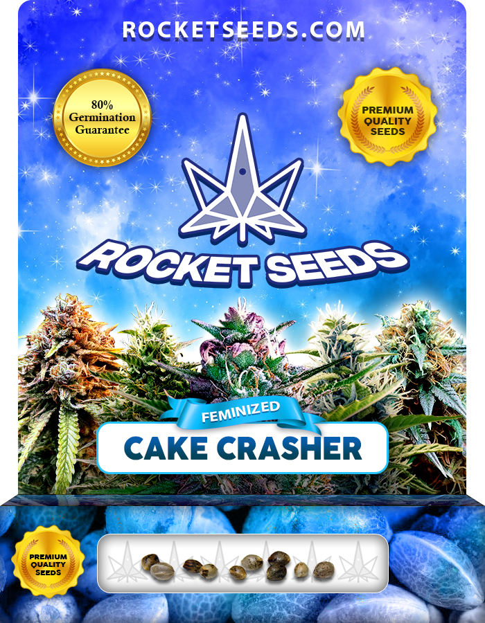 Cake Crasher Strain Feminized Marijuana Seeds