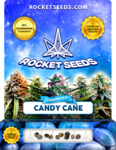 Candy Cane Strain Feminized Marijuana Seeds