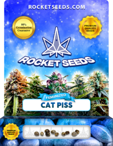 Cat Piss Strain Feminized Marijuana Seeds