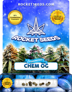 Chem OG Strain Feminized Marijuana Seeds