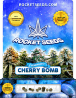 Cherry Bomb Strain Feminized Marijuana Seeds