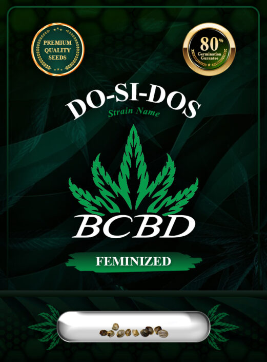 Do-Si-Dos Strain Feminized