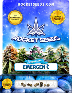 Emergen C Strain Feminized Marijuana Seeds