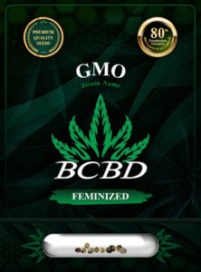 GMO Strain Feminized Marijuana Seeds