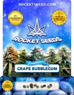 Grape Bubblegum Strain Feminized Marijuana Seeds