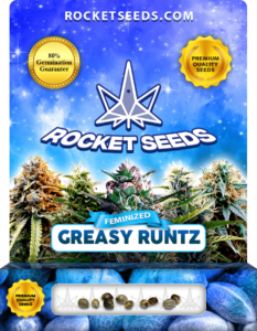 Greasy Runtz Strain Feminized Marijuana Seeds