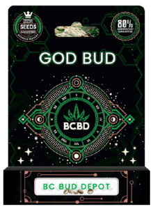 God Bud Strain Feminized Marijuana Seeds