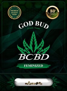 God Bud Strain Feminized Marijuana Seeds