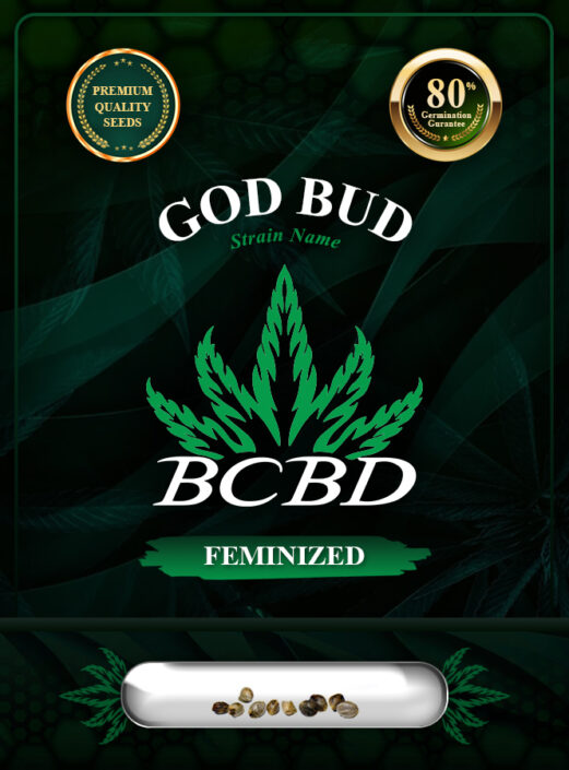 God Bud Strain Feminized