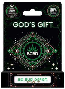 God’s Gift Strain Feminized Marijuana Seeds