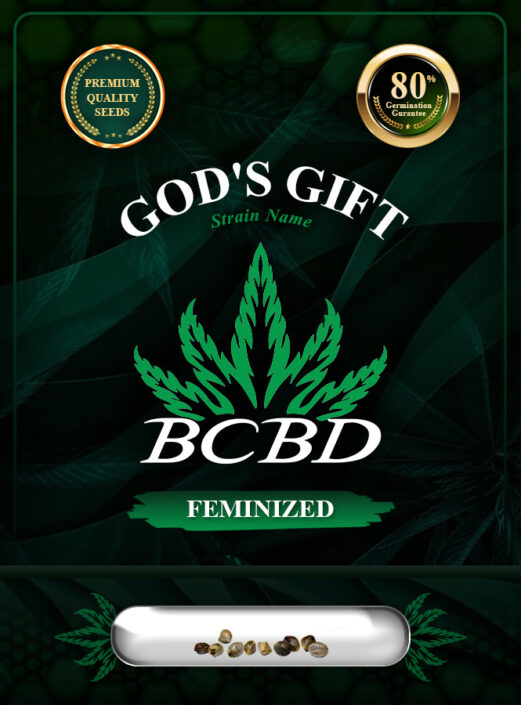 God's Gift Strain Feminized