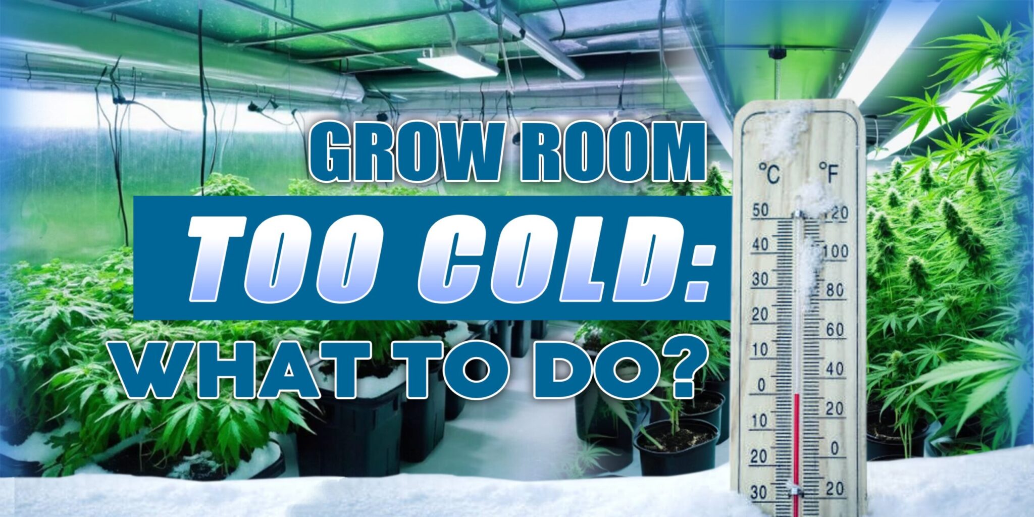 Grow Room Too Cold: What To Do?