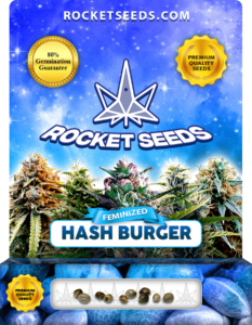 Hash Burger Strain Feminized Marijuana Seeds