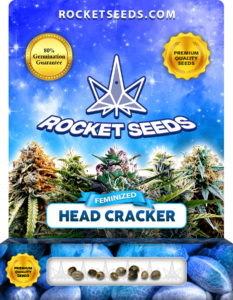 Head Cracker Strain Feminized Marijuana Seeds