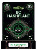 BC Hashplant Strain Feminized Marijuana Seeds