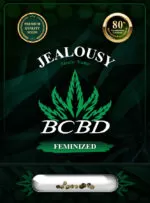BCBD Jealousy Strain Feminized Marijuana Seeds