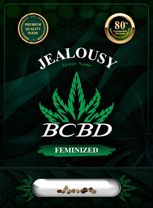 Jealousy Strain Feminized