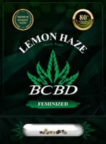BCBD Lemon Haze Feminized Marijuana Seeds