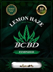 Lemon Haze Feminized Marijuana Seeds