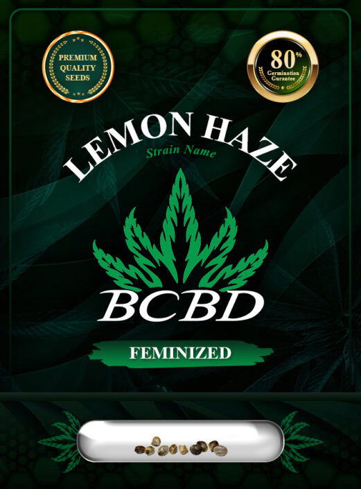 Lemon Haze Feminized