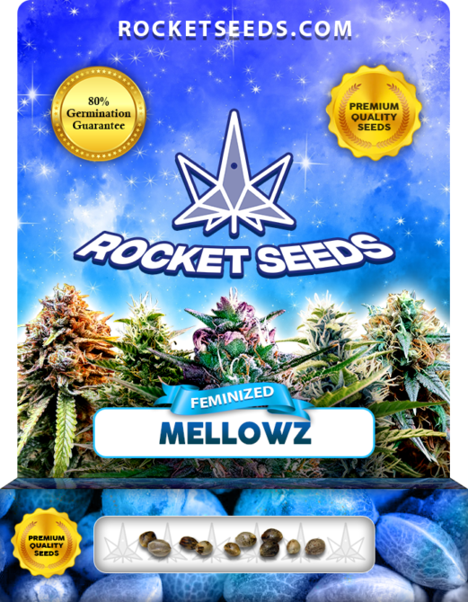 Mellowz Strain Feminized