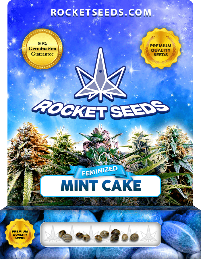 Mint Cake Strain Feminized Marijuana Seeds