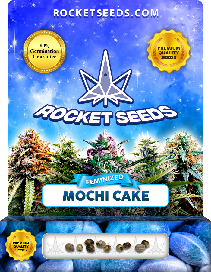 Mochi Cake Strain Feminized Marijuana Seeds