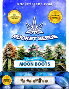 Moon Boots Strain Feminized Marijuana Seeds