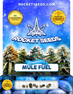 Mule Fuel Strain Feminized Marijuana Seeds