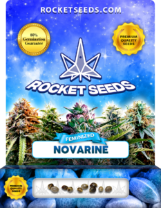 Novarine Strain Feminized Marijuana Seeds