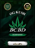 OG Kush Feminized Marijuana Seeds
