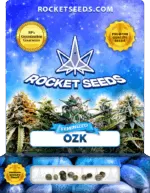 OZK Strain Feminized Marijuana Seeds