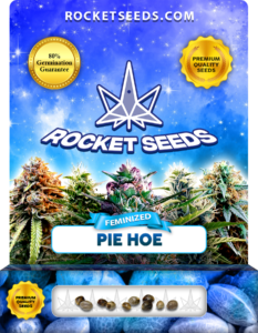 Pie Hoe Strain Feminized Marijuana Seeds