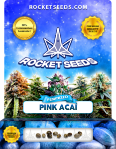 Pink Acai Strain Feminized Marijuana Seeds