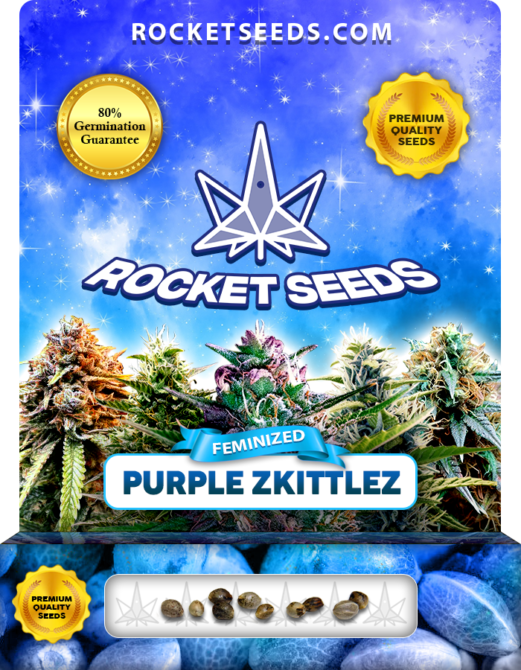 Purple Zkittlez Strain Feminized