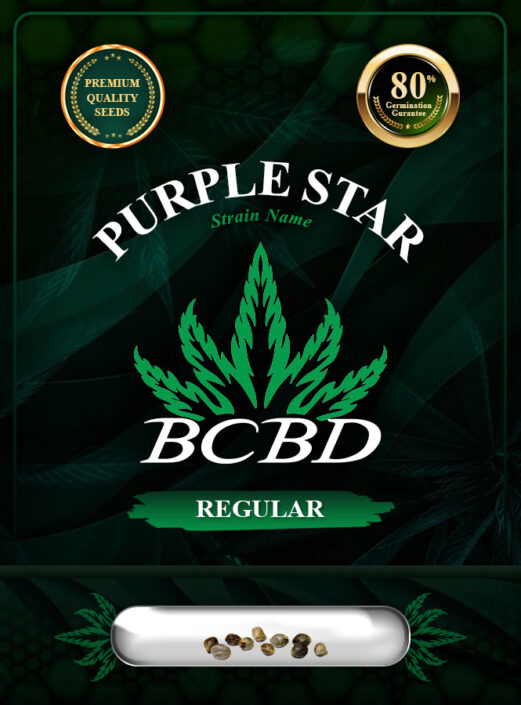 BC Purple Star Strain Regular