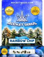 Rainbow Chip Strain Feminized Marijuana Seeds