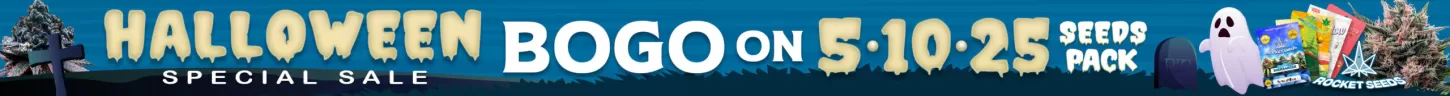 RocketSeeds SingleP Desktop Banner