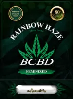 Rainbow Haze Feminized Marijuana Seeds