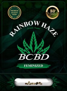 Rainbow Haze Feminized Marijuana Seeds